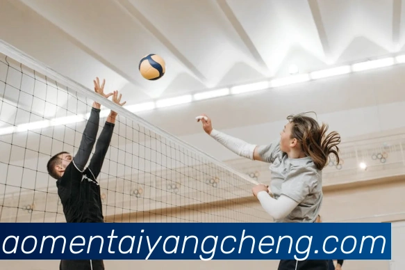 太阳城网站APP 封面图